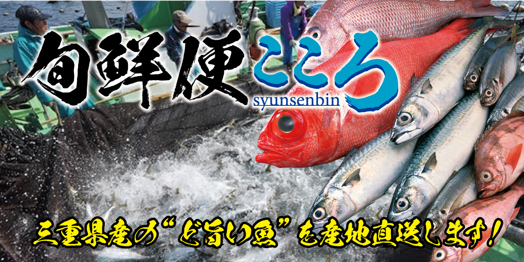 【鮮魚直送通販】三重県尾鷲市の新鮮な魚介類が超お買い得！鮮魚なら旬鮮便こころ
