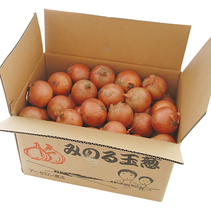 ◆生鮮）北海道産 玉ねぎ ２０ｋｇ（常温出荷）
