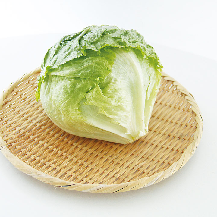 ◆生鮮）茨城県産 レタス １個