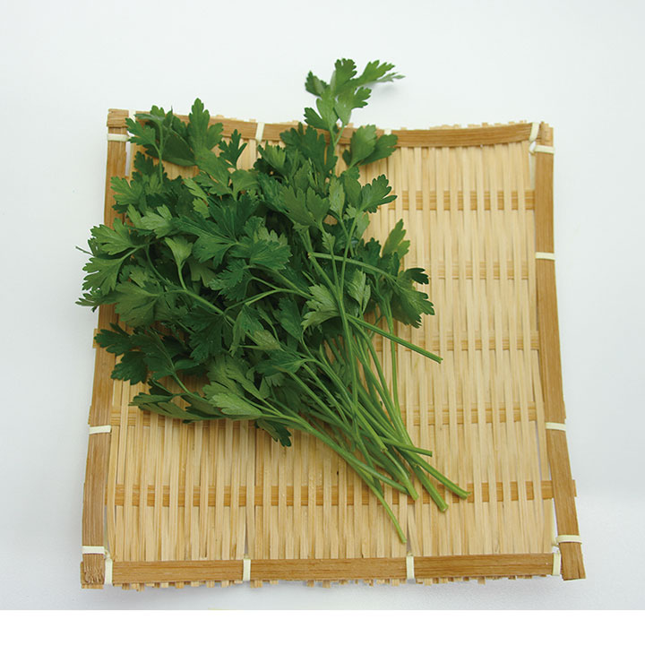◆生鮮）愛知県産 イタリアンパセリ ２０ｇ×１Ｐ