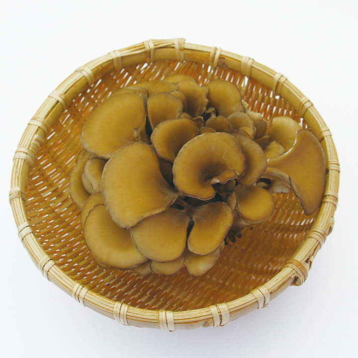 ◆生鮮）長野県産 まいたけ １００ｇ×１Ｐ
