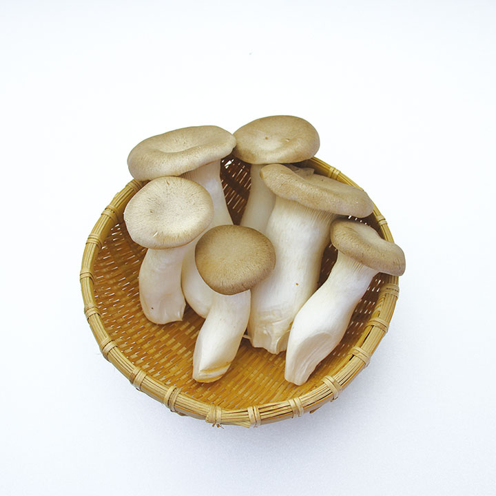 ◆生鮮）長野県産 エリンギ １００ｇ×１Ｐ