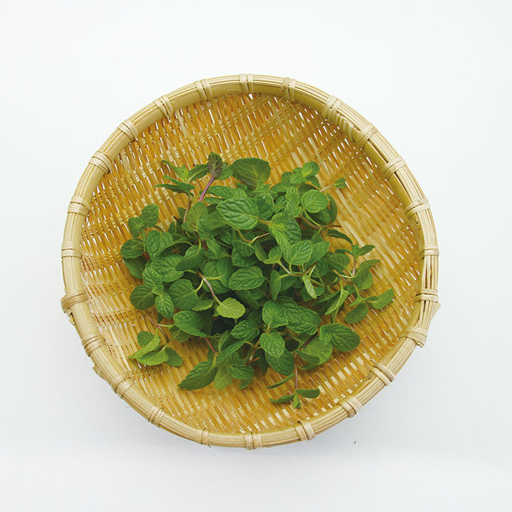 ◆生鮮）愛知県三重県産 スペアミント ２０ｇ×１Ｐ
