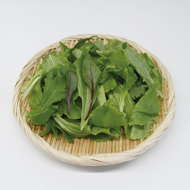 ◆生鮮）熊本県産　ベビーリーフ　４０ｇ×１Ｐ