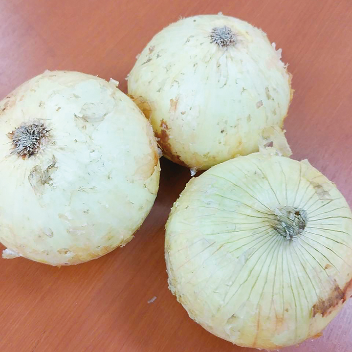 ◆生鮮）三重県他 新玉葱 10Kg