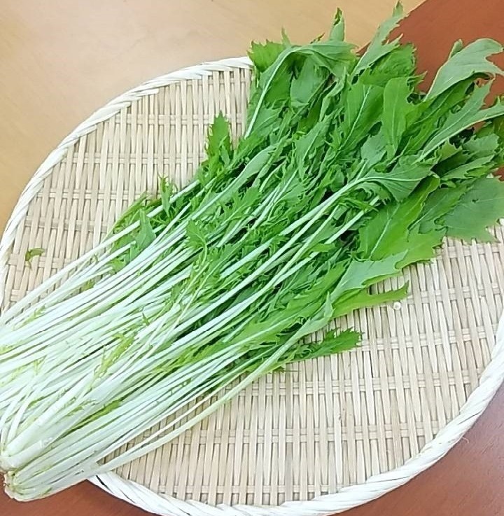 ◆生鮮）水菜 茨城県 他産 １００ｇ入Ｘ１Ｐ