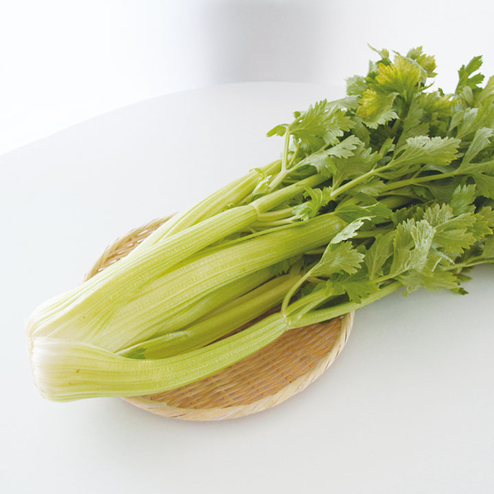 ◆生鮮）セロリ 約１．２ｋｇ×１株