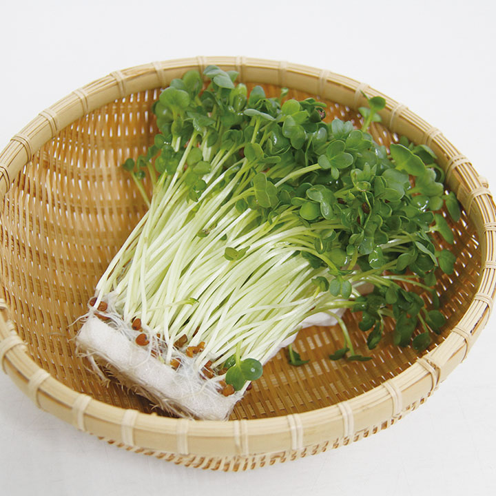 ◆生鮮）かいわれ ５０ｇ×２Ｐ