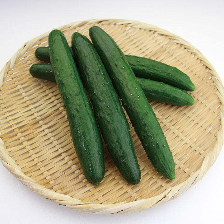 ◆生鮮）きゅうり（Ｌ） 約１００ｇ×５本
