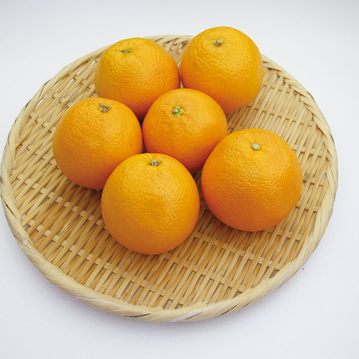 ◆生鮮）オレンジ（中玉） 約１８０ｇ×６個