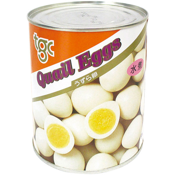 天狗缶詰）うずら卵　2号缶（固形430g）約50～60個入