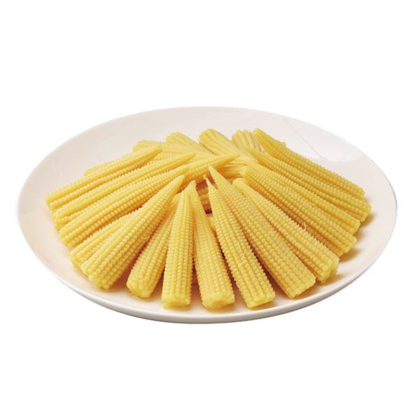 【9月～12月月間特売】ジェフダ）ヤングコーン水煮　3号缶（固形230g、内容量565g）約20～30本入