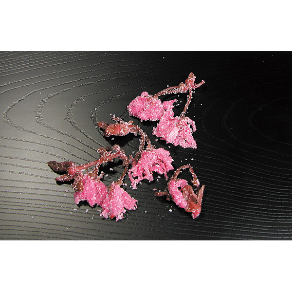 【売尽し】岡井）桜花塩漬ポット　180g（約150個入）