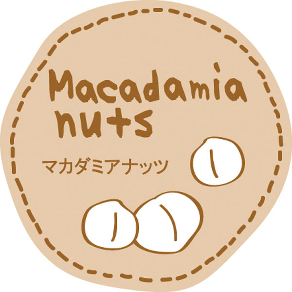 テイスティシール　マカダミアナッツ【ＰＢ】　２００枚入