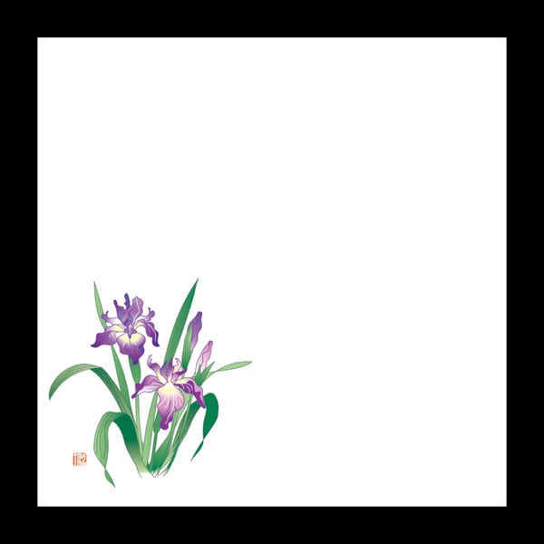 耐油天紙　４寸　菖蒲　（５～６月）　１００枚入