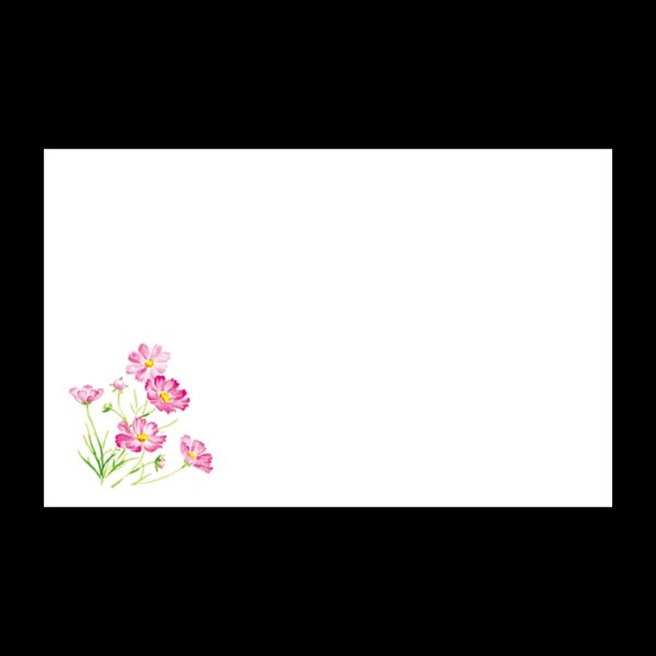 テーブルマット尺３＃２７９　秋桜　１００枚入