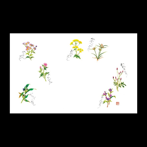 テーブルマット尺３＃３１６　秋野の花　１００枚入