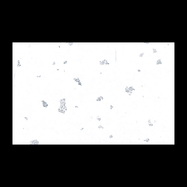 テ－ブルマット尺３＃３２９　銀閣しろいろ　１００枚入