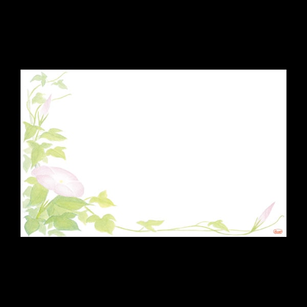 テーブルマット尺３＃３５１　朝顔　１００枚入