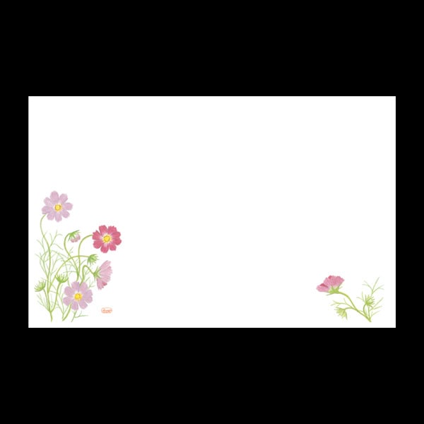 テーブルマット尺３＃３７９　コスモス　１００枚入