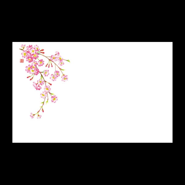テーブルマット尺３＃４５６　しだれ桜　１００枚入