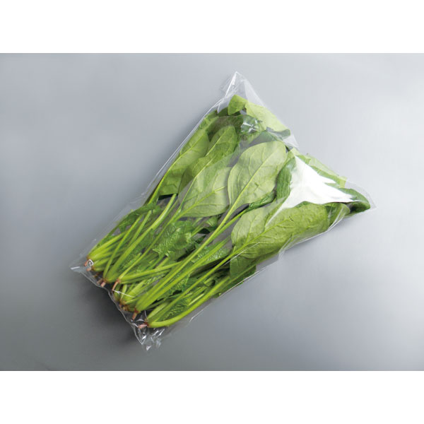 ＦＧ＃２０　三角袋　プラマーク入　１５０Ｘ３６０Ｘ２８０　０Ｈ　１００枚入