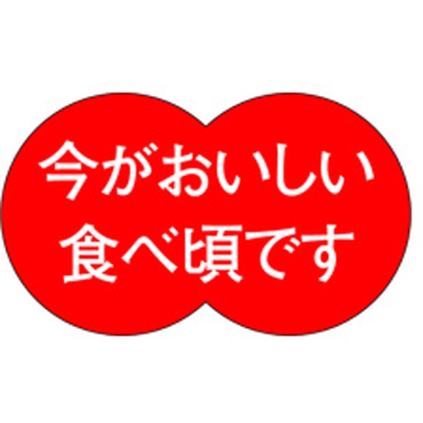 Ｈ－１５７７　今がおいしい食べ頃です　５００枚入