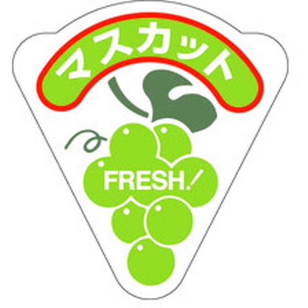 Ｈ－０２０４　マスカット　５００枚入