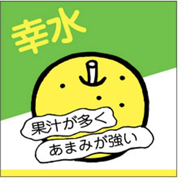 Ｈ－０１５１　幸水　５００枚入
