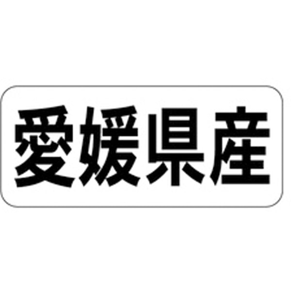 Ｋ－１３３７　愛媛県産　ヨコ　１０００枚入
