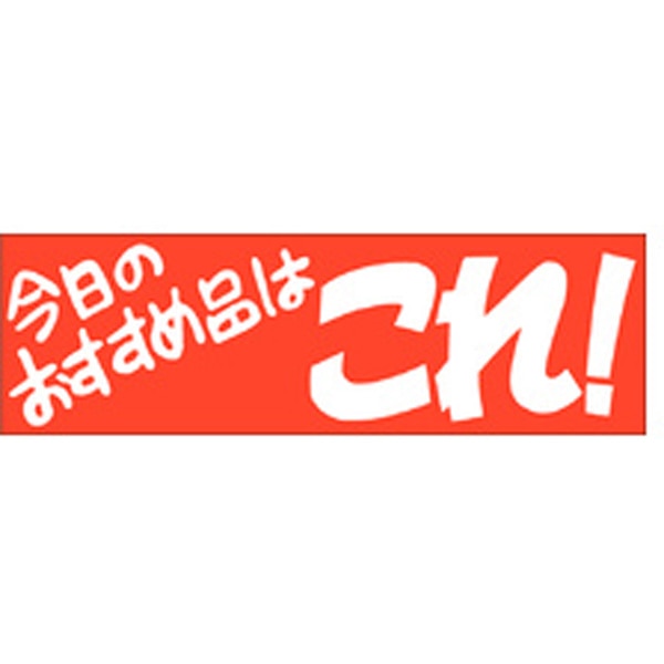 Ａ－０５０１　今日のおすすめ品はこれ！　５００枚入