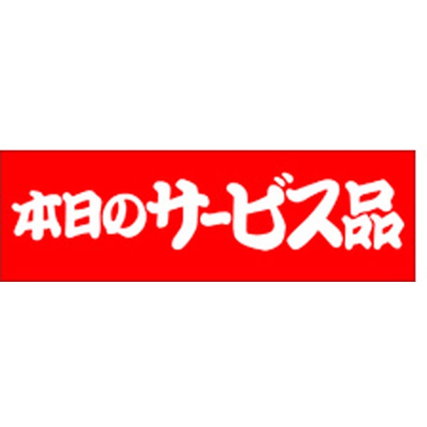 Ａ－２００９　本日のサービス品　５００枚入