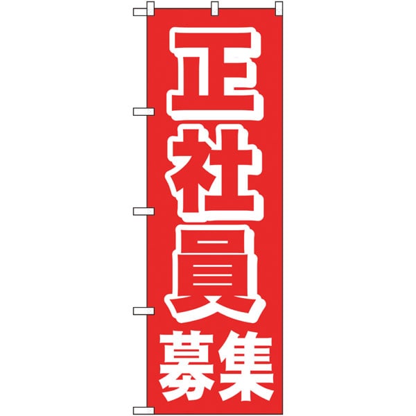 のぼり　２６６５８　正社員募集　赤地
