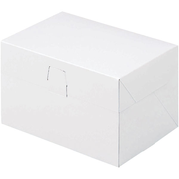 ロックＢＯＸ　１０５　ホワイト　９Ｘ１１　２０個入
