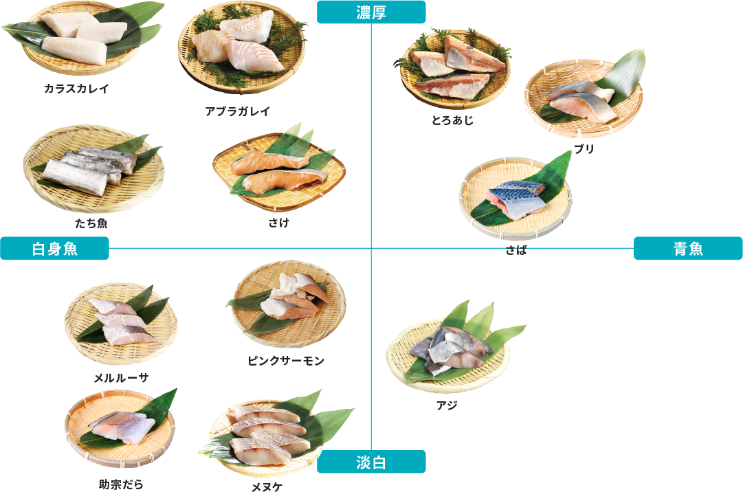 お魚マトリクス画像