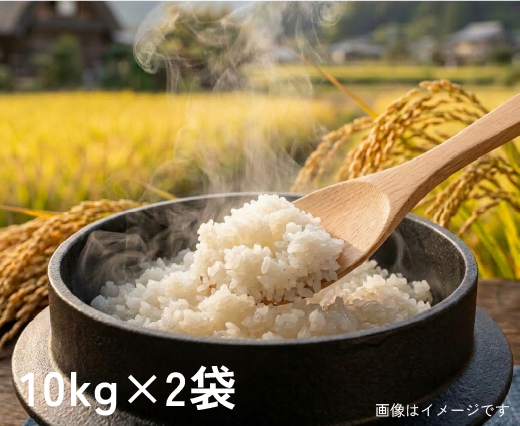 国産ブレンド米の商品イメージ