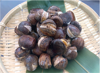 焼き栗の商品画像