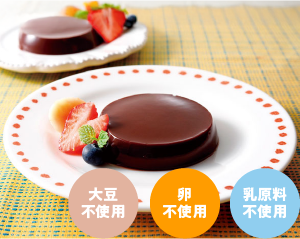 日東ベスト ベストチョコプリン(卵乳大豆不使用)