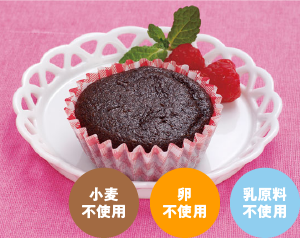日東ベスト お米deガトーショコラ